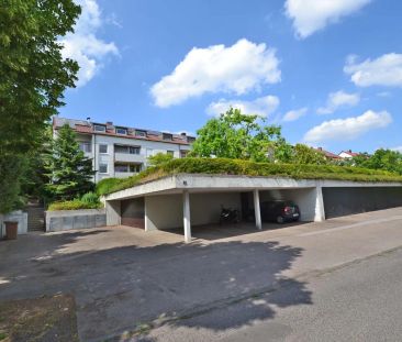 +++ ruhig, gemütlich & modernisiert - Gartengeschoss mit Süd-Terras... - Photo 1