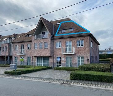 Appartement te huur in Tielrode - Photo 2