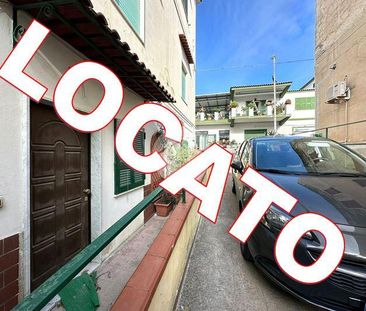 Trilocale in affitto - Photo 1