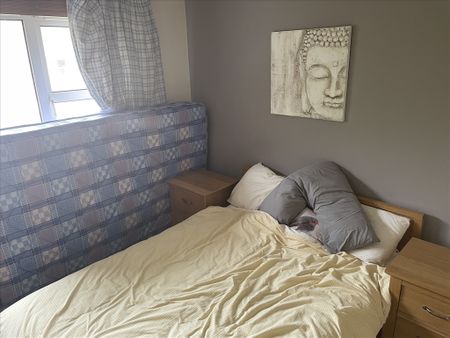 8 Ardenlee Rise - Photo 4