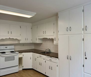 For Lease - 52 Walter Street, Kitchener, Ontario - Photo 2