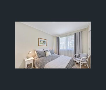 Charming Court Oasis - Photo 6