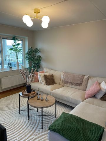 Mossgatan, Karlstad - Foto 4