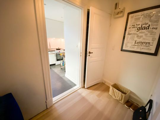 Hyggelig 2-værelses lejlighed med udsigt til Østre Anlæg - Foto 1