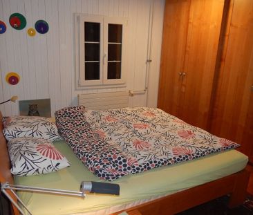 3-ROOM APARTMENT IN WALD (ZH), FURNISHED, TEMPORARY - Photo 1