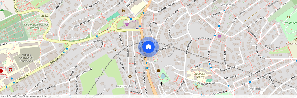 Wesemlinstrasse 4, 6006 Luzern