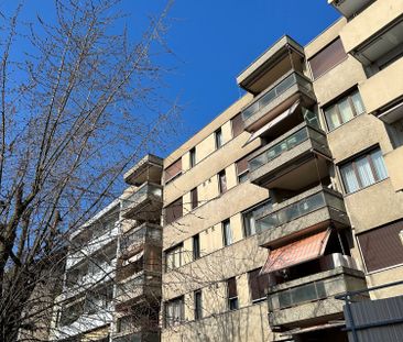 2 Zimmer, 1. Stock - Photo 5