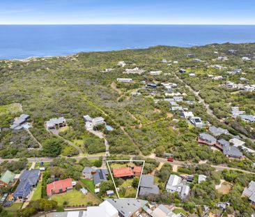 Private Oasis! - Photo 1