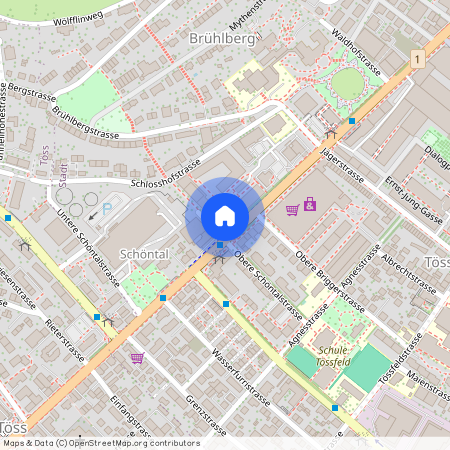 Zürcherstrasse 60, 8406 Winterthur