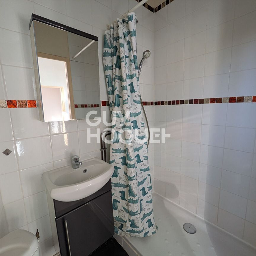 Location Appartement 1 pièce 19m² APPOIGNY 89380 - Photo 1