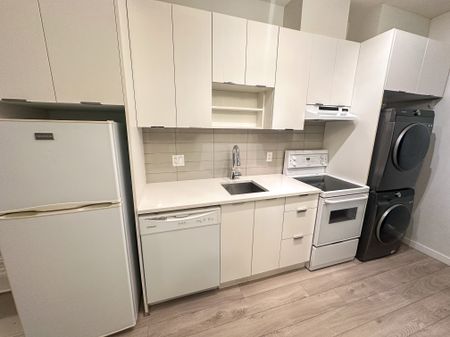 Bachelor Suite For Rent In Surrey/ Pets Allowed. - Photo 5