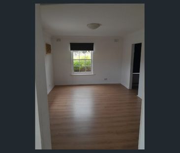 Fully Renovated 3 Bedroom House - Photo 1