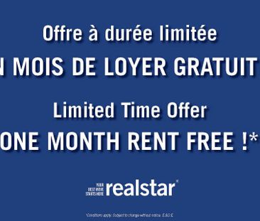 1 Bed 1 Bath A - Loft II - 205 Rue Laurier, Gatineau - Photo 1