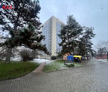 Pronájem bytu 1+kk 24 m² - Photo 6