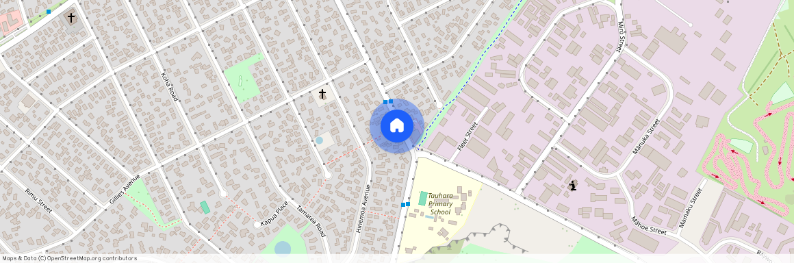 164 Taharepa Road, Tauhara, Taupo