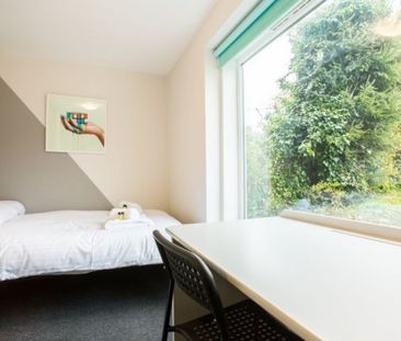 6 bed accommodation in Brighton - Photo 4