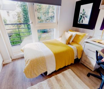 Gold Studio Plus - Photo 1