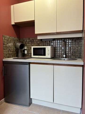 Location Appartement 1 pièce 25m² LILLE 59800 - Photo 4