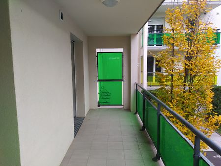 Appartement - 2 pièces - Jardin Lecoq/Facultés - Photo 5