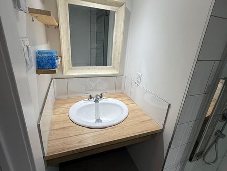 126 Rue Mont Royal - Photo 3