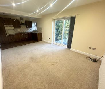 1 Bedroom Apartment - Photo 4