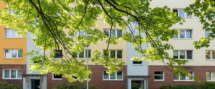 3 Raum Wohnung in Markersdorf Nord - Photo 1