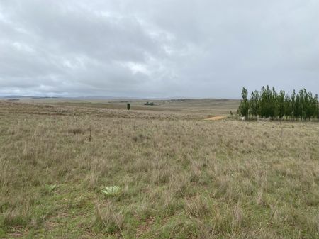 Cottage Two Carinya Estate 150 Nitholm Road - Photo 3