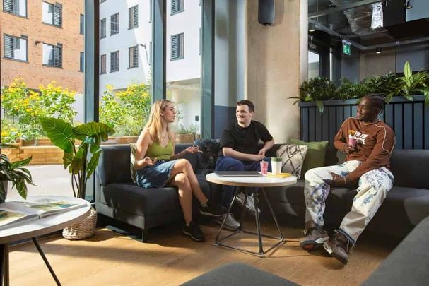 Double Partly Accessible Studio - Photo 1