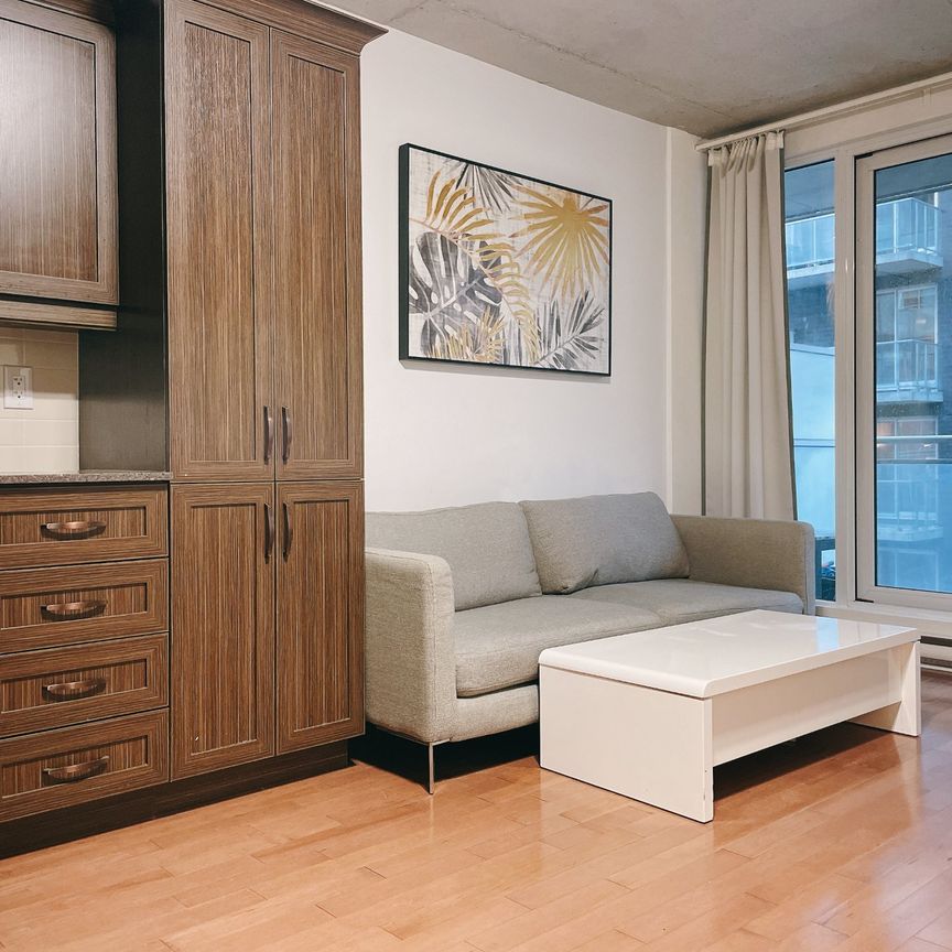 1235 Rue Bishop Montréal (Ville-Marie), QC H3G - Photo 1