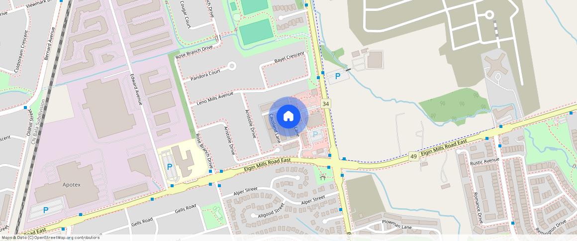 95 Causland Lane, Richmond Hill