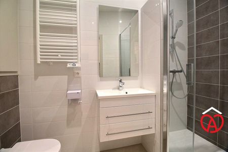 Location Appartement 1 pièce 28m² BARR 67140 - Photo 4