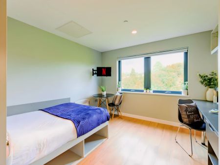 Penthouse Studio - Photo 4