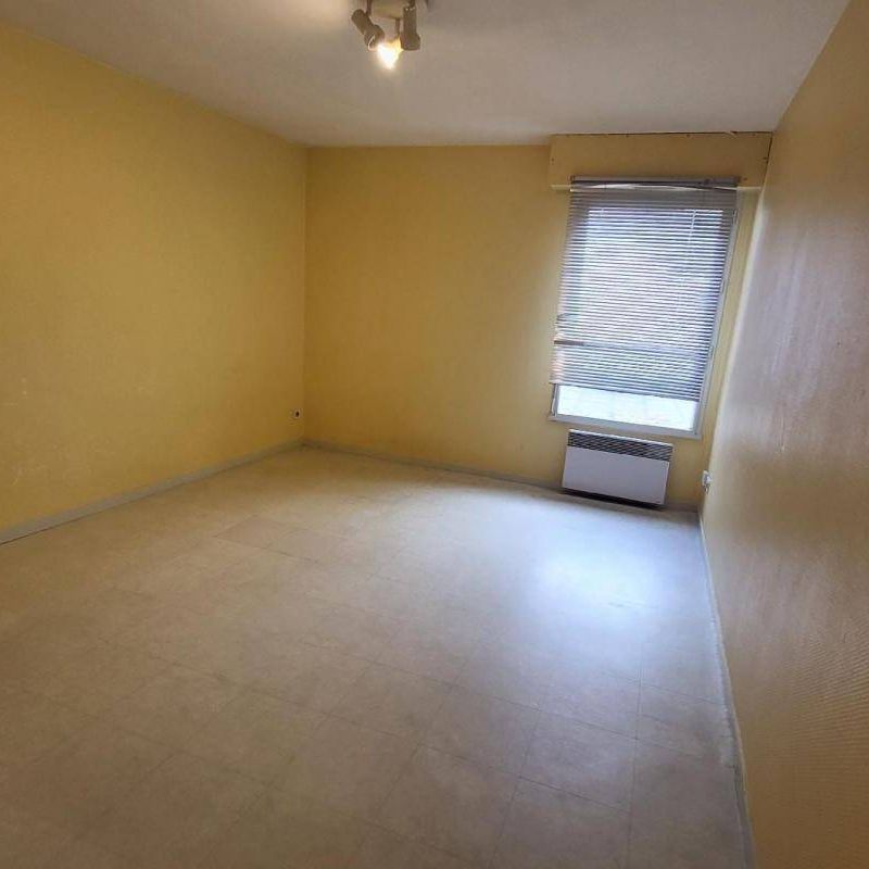 Location appartement t1 à Nantes (44000) St Donatien/Jardin des Plantes-Jardin des Plantes - Photo 1