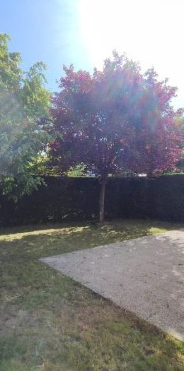 Villa à louer, 5 pièces - Orléans 45100 - Photo 1