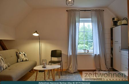 Springe, Hannover Region Südwest, 1 Zimmer Apartment - Photo 3