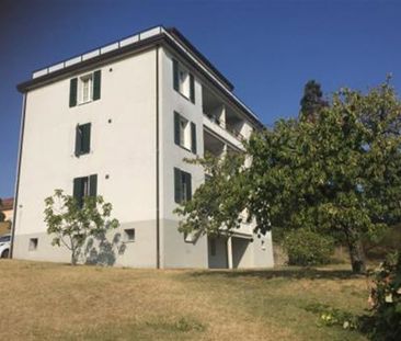 3 Zimmer, EG - Photo 5