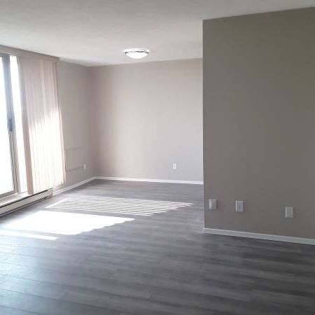 1 Bedroom condo apartment available for December 1rst 2024 - Photo 1