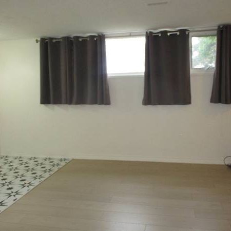 Clean, Spacious Suite in Spruceland - Photo 3