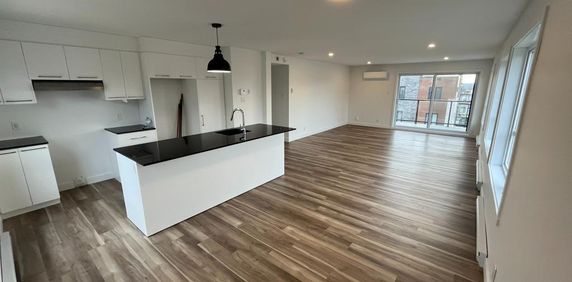 Grand 5 1/2, ANIMAUX ACCEPTÉS, Libre le 1er juillet - Photo 2