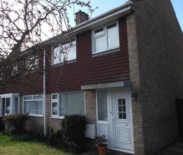 4 bedroom house share to rent - Photo 5