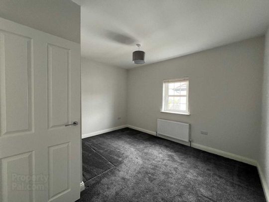 56 Farm Lodge Lane, Magherafelt, Derry, BT45 5HF - Photo 1