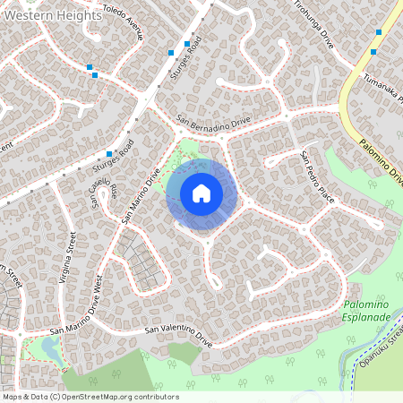 9 San Fernando Way, Henderson, Waitakere City