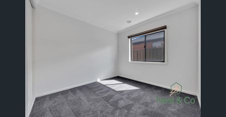 Move In Ready- Prime Beveridge Location - Photo 2