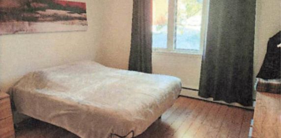 4 1/2 à louer - 1025$ chauffé, eau chaude, balcon et remise - Photo 2