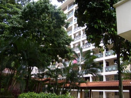 Blk 35 Whampoa Gardens (Toa Payoh), HDB 3 Rooms - For Rent - Photo 4