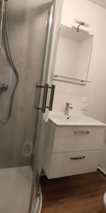 Location Appartement 1 pièce 26m² - Photo 4