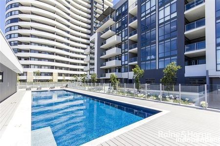 101/41 Chandler Street, Belconnen ACT 2617 - House For Rent | Domain - Photo 4