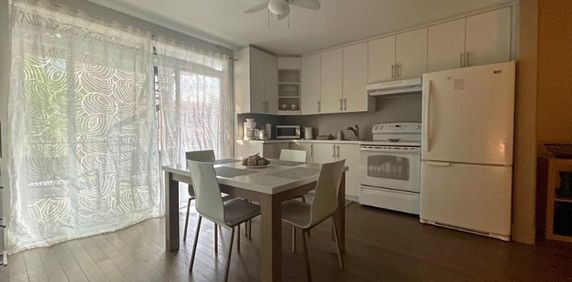 4 1/2 - Montréal (Hochelaga / Maisonneuve) - 1 665 $/mois - Photo 2