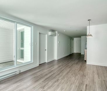 9675 Av. Papineau, app.113, H2B 3C8, H2B 3C8, Montréal - Photo 1