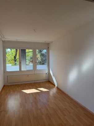 3.5-Zimmerwohnung mit Balkon direkt am Rhein - Foto 1